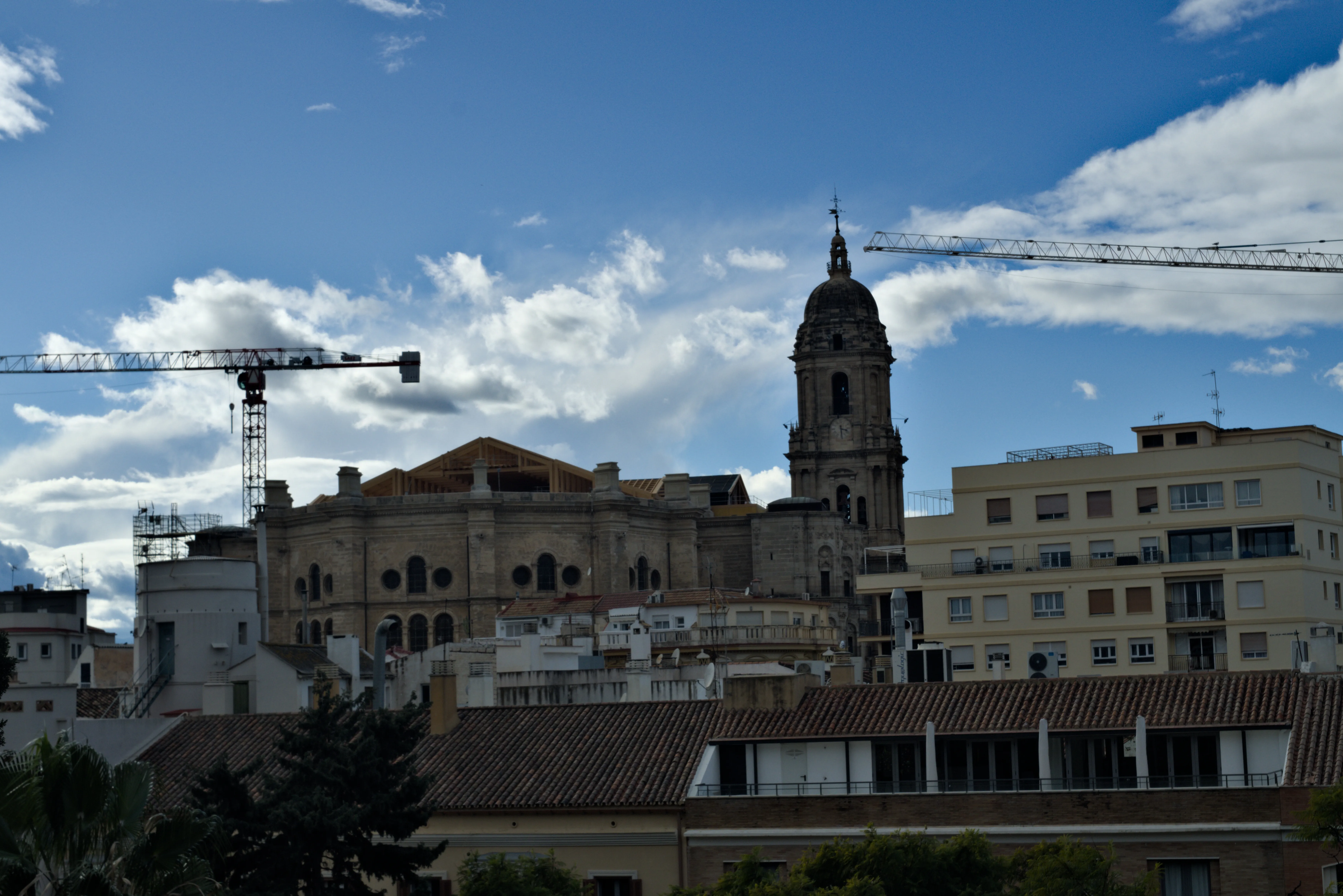 Meyer-Optik Görlitz Primagon 35mm f4.5 (M42) - _I4A7235.webp